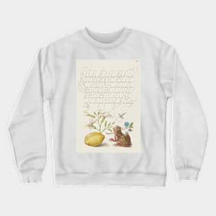 Antique 16th Century Calligraphy with Frog and Flora Crewneck Sweatshirt